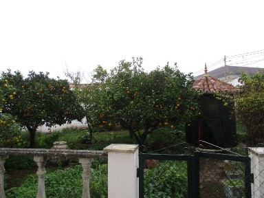 Quinta à venda em Santa Maria e Santo André