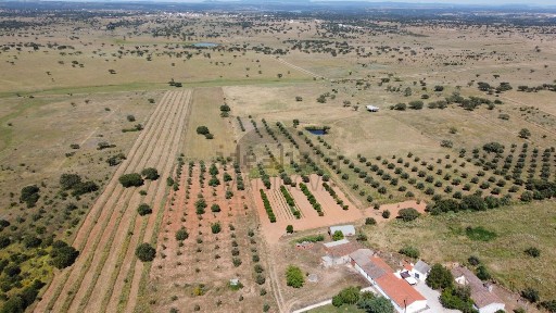 Quinta à venda em Santiago Maior
