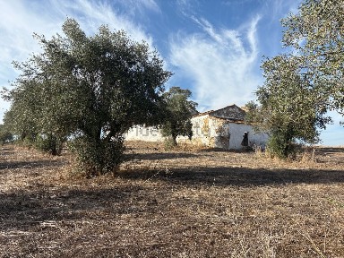 Quinta à venda em caneira s/n