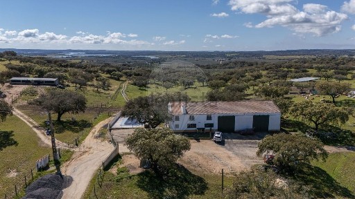 Quinta à venda em Torre de Coelheiros