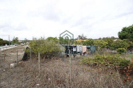 Quinta à venda em Vendas Novas