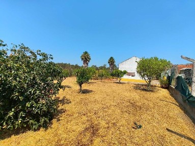 Quinta à venda na Rua Primeiro de Maio