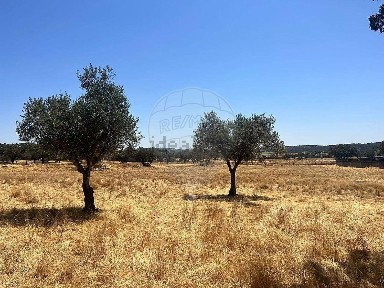 Quinta à venda em Sabugueiro