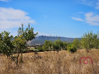 Monte alentejano à venda em Rio de Moinhos
