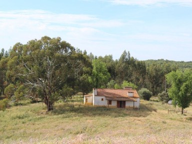 Herdade à venda em São Bartolomeu