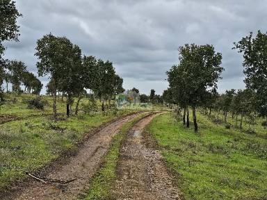 Reguengos de Monsaraz, Évora