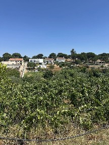 Quinta à venda em Mora