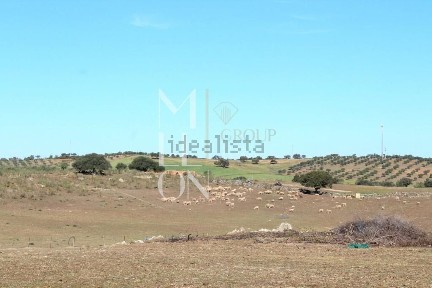 Herdade à venda em Granja