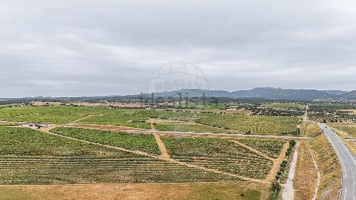 Redondo, Évora