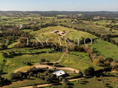 Quinta à venda em Nossa Senhora do Bispo