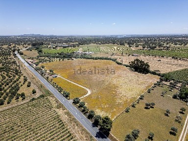Reguengos de Monsaraz, Évora
