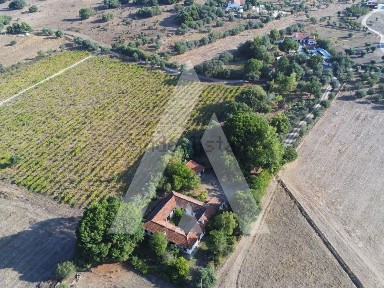 Quinta à venda em Bacelo e Senhora da Saúde