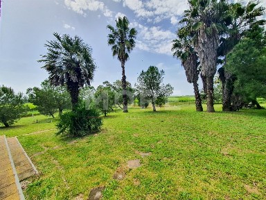 Quinta à venda em Alcáçovas