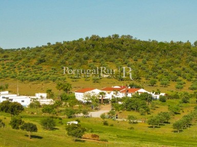 Herdade à venda em São Manços e São Vicente do Pigeiro