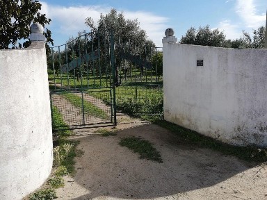 Reguengos de Monsaraz, Bairro da Figueirinha