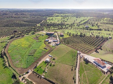 Moradia independente à venda em Ferragial da Herd.Bussalfão