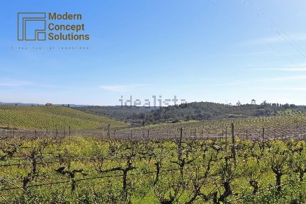 Herdade à venda em São Pedro Terena
