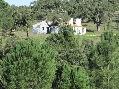 Herdade à venda em Mora s/n