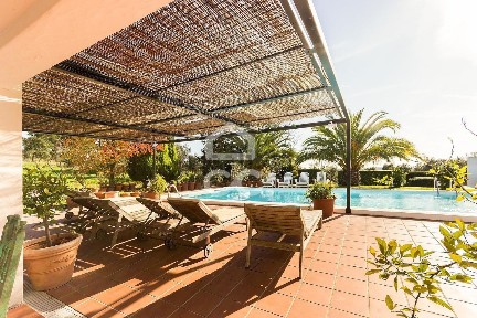 Quinta à venda em Santiago do Escoural