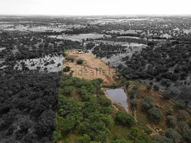 Herdade à venda em Courela da Mina; Ervideira de Baixo