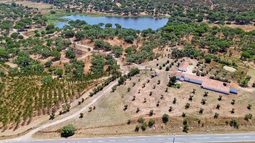 Montemor-o-Novo, Évora