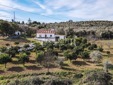Quinta à venda em Conceição