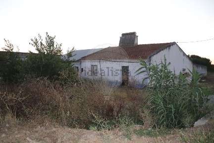 Nossa Senhora da Vila, N2