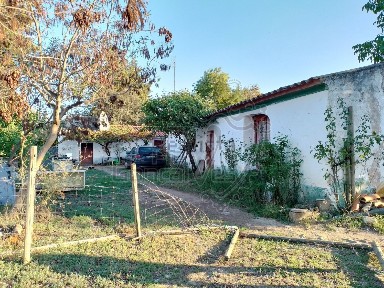 Monte alentejano à venda em São Bento do Cortiço