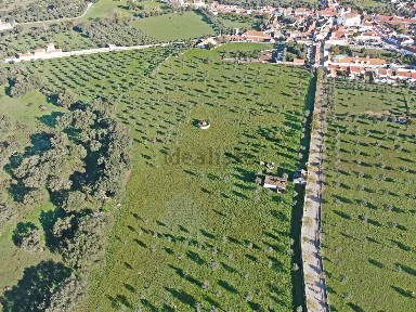 Santiago do Escoural, Quinta da Avenida Nova