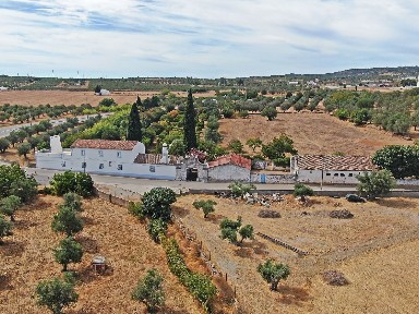 Quinta à venda na Estrada de Vera Cruz