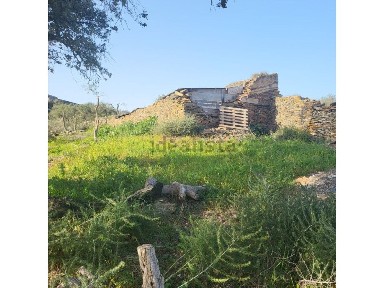 Quinta à venda em Reguengos de Monsaraz
