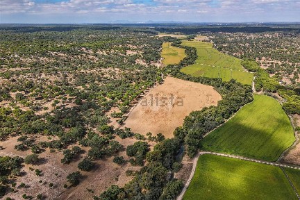 Herdade à venda na Estrada da Afeiteira s/n