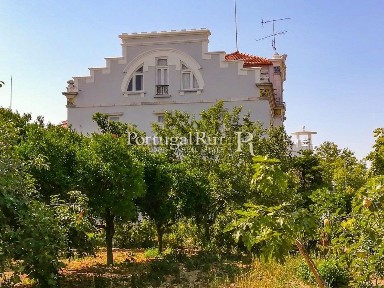 Palácio à venda em Santa Maria e Santo André