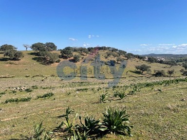 Quinta à venda em Alqueva
