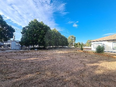 Elvas, Portalegre