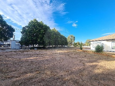 Elvas, Portalegre