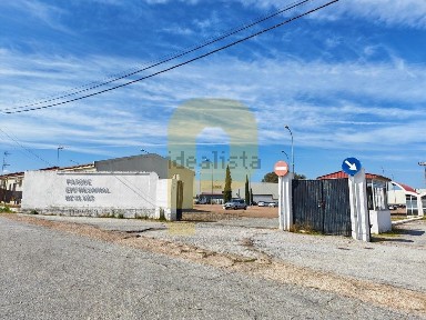 Elvas, Portalegre