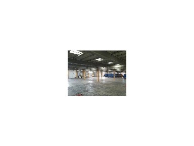 Arrendamento de armazém na Quinta da Marquesa - Vila Amélia
