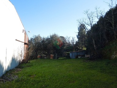 Armazém à venda em Santa Maria da Devesa