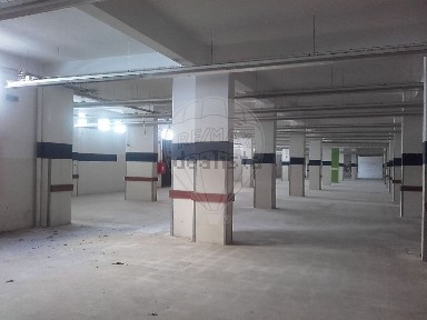 Santarém