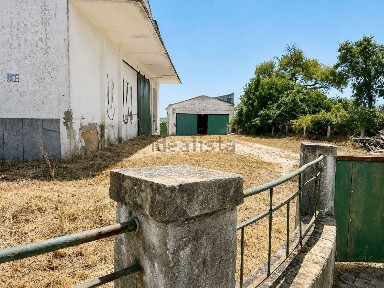 Santarém