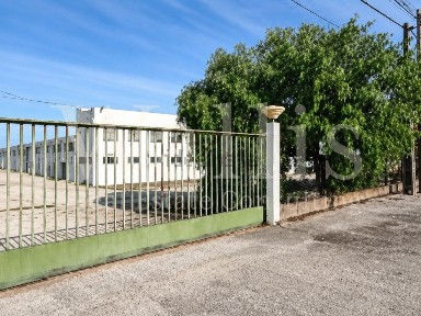 Torres Novas, Santarém