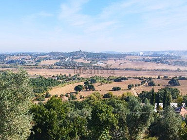 Armazém à venda em Santarém
