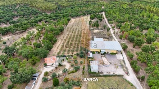 Armazém à venda na Estrada da Champiluso, Gaviãozinho de Cima s/n