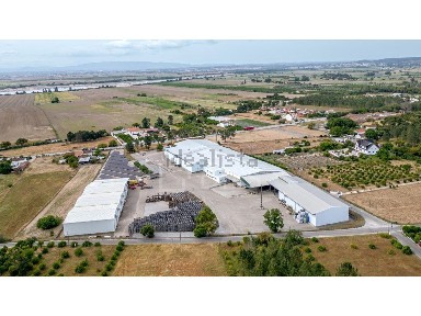 Pinheiro Grande, N118