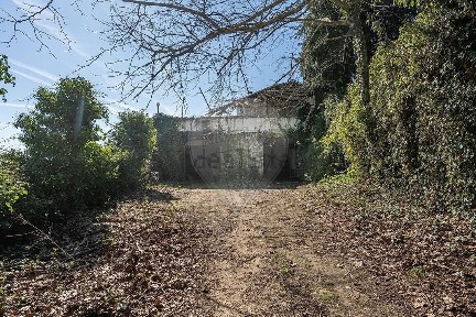 Armazém à venda em Airão Santa Maria