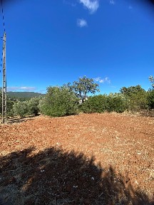Armazém à venda em Alcanena