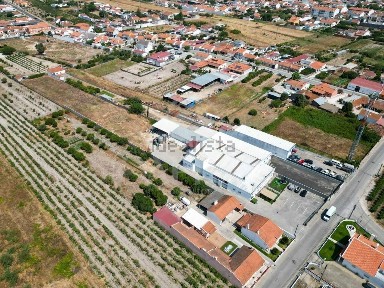 Almeirim, Santarém