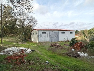 Coruche, Santarém