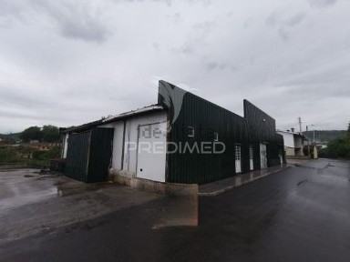 Golegã, Santarém